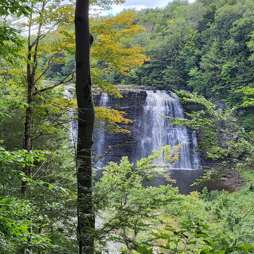 Meet your Posher, Reilly